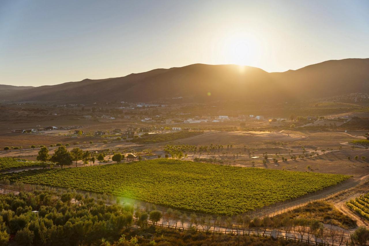 Banyan Tree Veya, Valle De Guadalupe - A Wellbeing & Wine Resort Eksteriør bilde