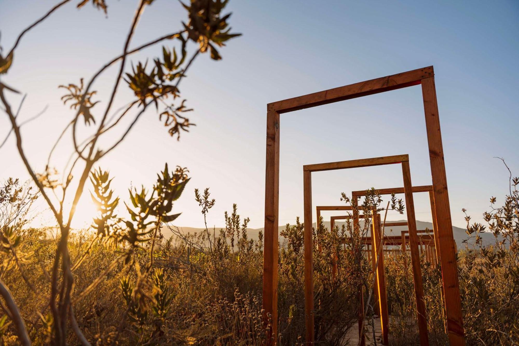 Banyan Tree Veya, Valle De Guadalupe - A Wellbeing & Wine Resort Eksteriør bilde