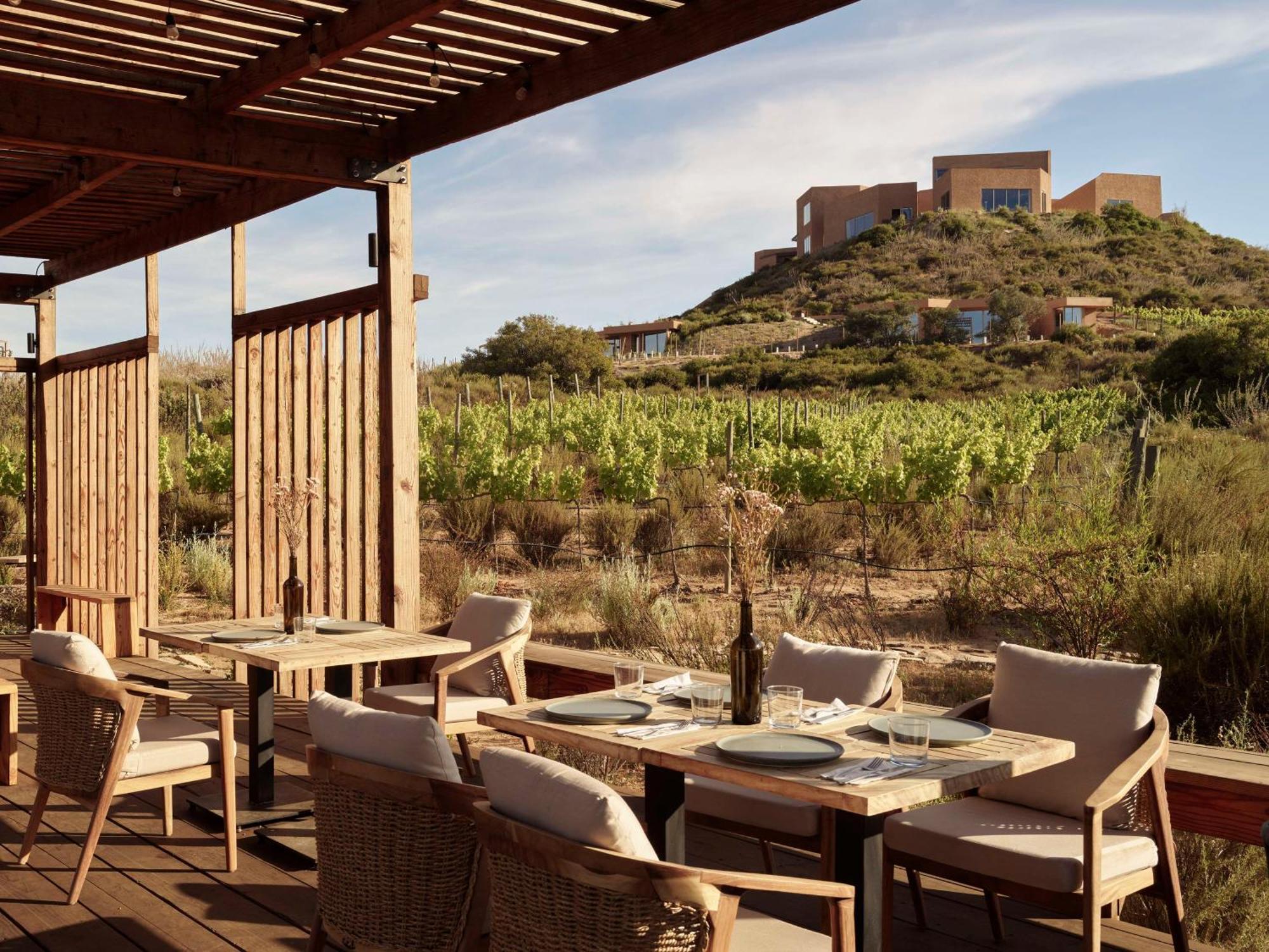 Banyan Tree Veya, Valle De Guadalupe - A Wellbeing & Wine Resort Eksteriør bilde